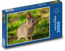 Malý králíček Puzzle 2000 - 90x60 cm