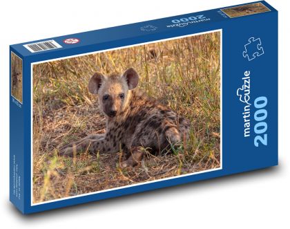 Hyena skvrnitá  - Puzzle 2000 dílků, rozměr 90x60 cm