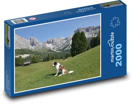 Bernardine, Alps - Puzzle 2000 pieces, size 90x60 cm 
