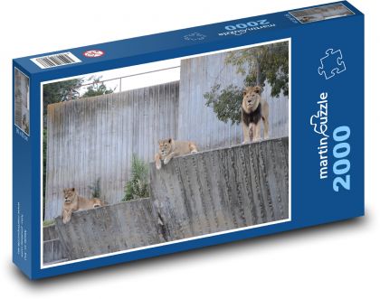 Zoo - Löwen - Puzzle - 2000 Teile