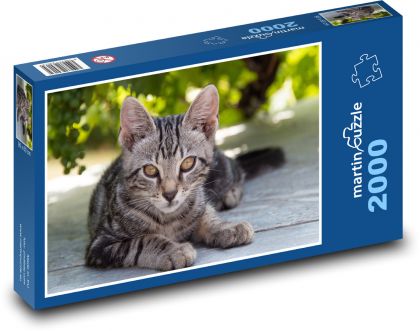 Tier - Katze - Puzzle - 2000 Teile