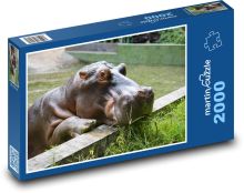 Zoo - hippo Puzzle 2000 pieces - 90 x 60 cm