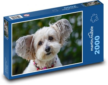 Zvíře - pes - puzzle 2000 dílků
