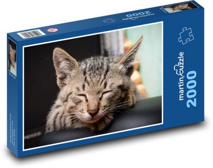 Kočka domácí - puzzle 2000 dílků