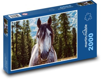 Kůň, hřebec - Puzzle 2000 dílků, rozměr 90x60 cm