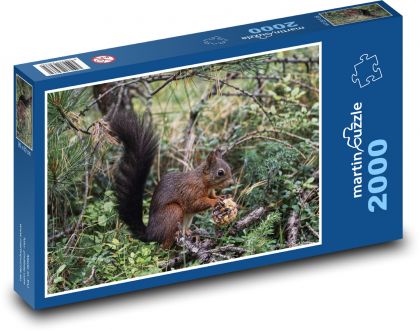 Veverička obyčajná - Puzzle 2000 dielikov, rozmer 90x60 cm 