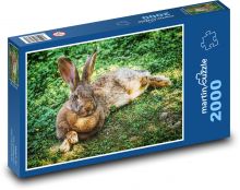 Dziki królik Puzzle 2000 elementów - 90x60 cm