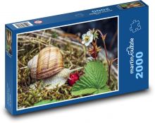 Ślimak ogrodowy Puzzle 2000 elementów - 90x60 cm