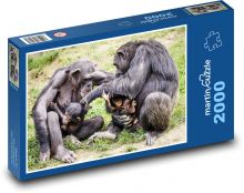Schimpansen, Familie Puzzle 2000 Teile - 90 x 60 cm