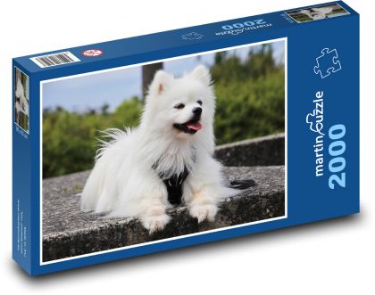 German Spitz - Puzzle 2000 pieces, size 90x60 cm 