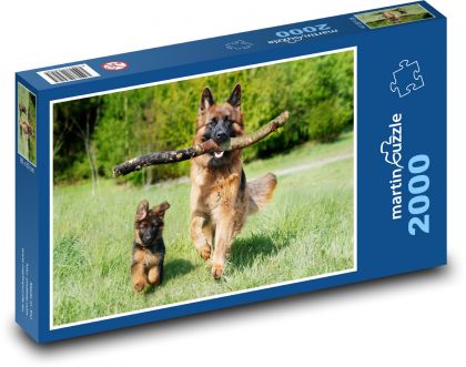 Deutscher Schäferhund - Puzzle - 2000 Teile