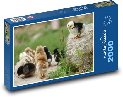 Kuře, kuřátka - puzzle 2000 dílků