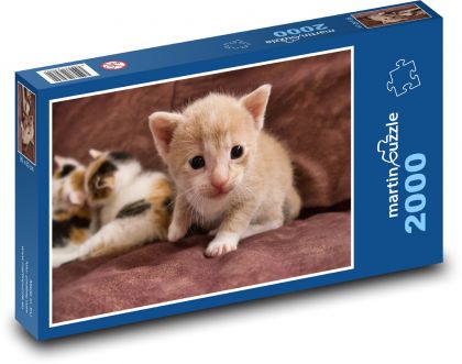 Mačiatko - Puzzle 2000 dielikov, rozmer 90x60 cm 