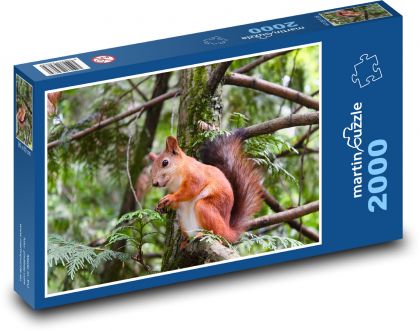 Hlodavec - veverka - puzzle 2000 dílků