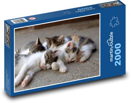 Kocięta - Puzzle 2000 elementów, rozmiar 90x60 cm