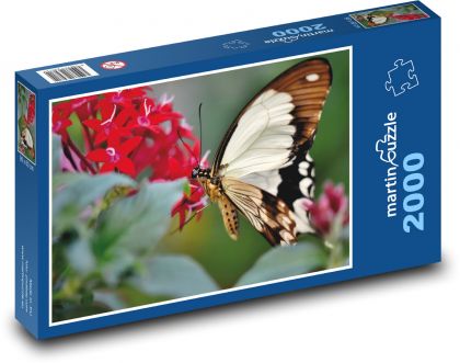 Tropický Motýl  - Puzzle 2000 dílků, rozměr 90x60 cm