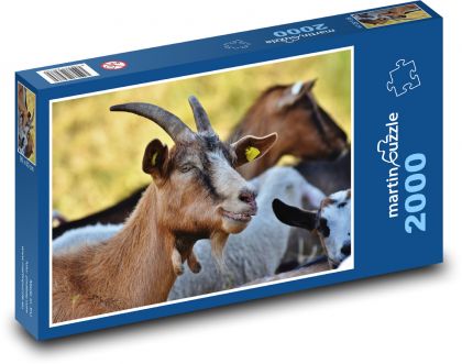 Braune Ziege - Puzzle - 2000 Teile