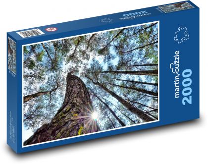 Drzewa, las, przyroda - Puzzle 2000 elementów, rozmiar 90x60 cm