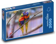 Papageien, exotische Vögel Puzzle 2000 Teile - 90 x 60 cm