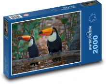 Birds - Toucans Puzzle 2000 pieces - 90 x 60 cm