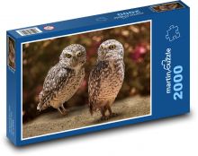 Eule, Vögel Puzzle 2000 Teile - 90 x 60 cm