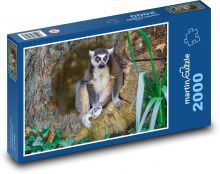 Zvíře - lemur Puzzle 2000 dílků - 90 x 60 cm