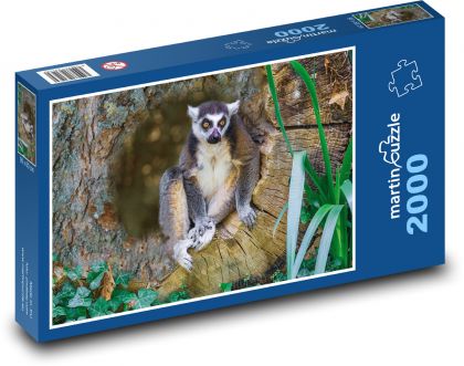 Zvíře - lemur - Puzzle 2000 dílků, rozměr 90x60 cm