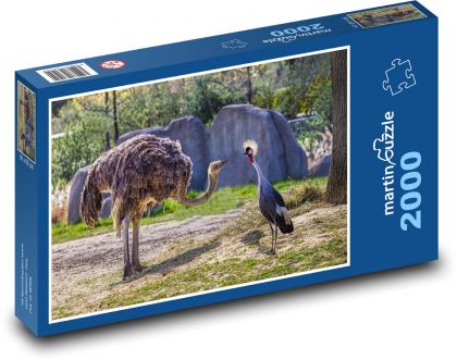 Zoo - pštros - Puzzle 2000 dílků, rozměr 90x60 cm