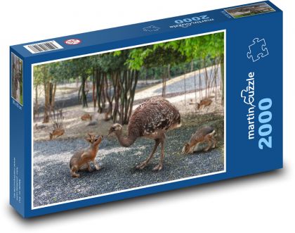 Zoo - mláďata - Puzzle 2000 dílků, rozměr 90x60 cm