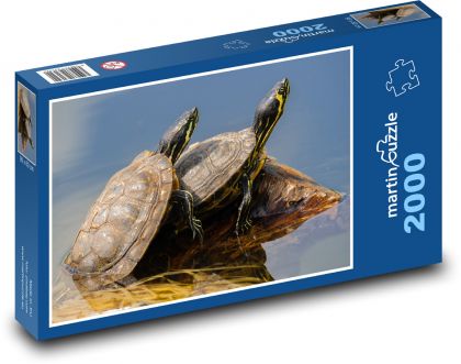 Schildkröten im Wasser - Puzzle - 2000 Teile