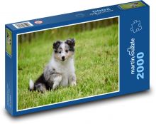 Štěně v trávě Puzzle 2000 - 90x60 cm