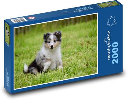Pes, šteňa, mláďa - Puzzle 2000 dielikov, rozmer 90x60 cm 