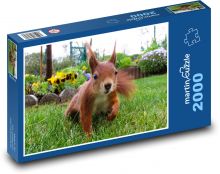 Hlodavec - veverka Puzzle 2000 dílků - 90 x 60 cm