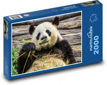 Medveď panda Puzzle 2000 dielikov - 90 x 60 cm