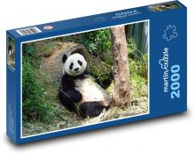 Panda bear Puzzle 2000 pieces - 90 x 60 cm