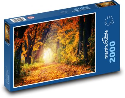 Příroda, podzim, cesta - Puzzle 2000 dílků, rozměr 90x60 cm