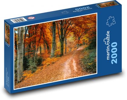 Droga, jesień, przyroda - Puzzle 2000 elementów, rozmiar 90x60 cm