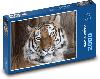 Tiger, zviera - Puzzle 2000 dielikov, rozmer 90x60 cm 
