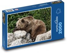 Brown bear Puzzle 2000 pieces - 90 x 60 cm