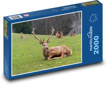 Jelen na louce Puzzle 2000 dílků - 90 x 60 cm