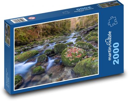 Potok v lese - puzzle 2000 dílků