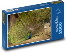 peafowl Puzzle 2000 pieces - 90 x 60 cm