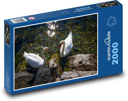 Labutě - ptáci, voda - Puzzle 2000 dílků, rozměr 90x60 cm