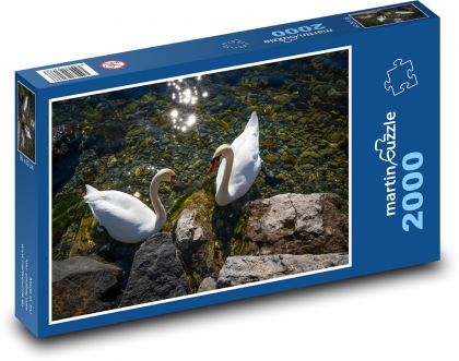 Labutě na řece - puzzle 2000 dílků