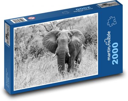 Slon Africký - Puzzle 2000 dílků, rozměr 90x60 cm