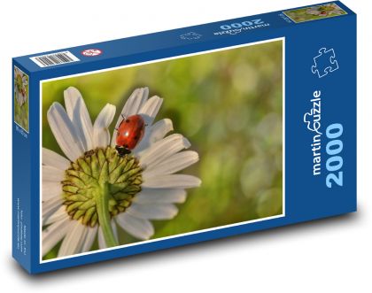 Stokrotka - kwiatek, biedronka - Puzzle 2000 elementów, rozmiar 90x60 cm