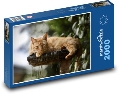 Katze - süß, Haustier - Puzzle - 2000 Teile