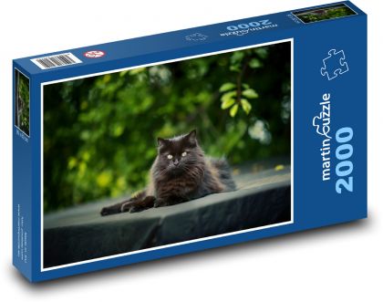 Cat - black, animal - Puzzle 2000 pieces, size 90x60 cm 