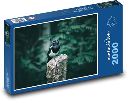 Straka - pták, příroda - Puzzle 2000 dílků, rozměr 90x60 cm
