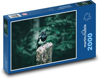 Magpie - bird, nature - Puzzle 2000 pieces, size 90x60 cm 